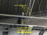 ไล่นกในโรงงานอุตสาหกรรมด้วยระบบไฟฟ้า SHOCK-BIRD รูปแบบ IPM รับรองผล 100%