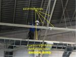 ไล่นกด้วยระบบไฟฟ้า SHOCK-BIRD รูปแบบ IPM ถาวร ปลอดภัย ไร้ผลกระทบ