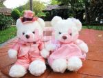 ตุ๊กตาหมีคู่แต่งงาน
