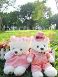 ตุ๊กตาหมีคู่แต่งงาน