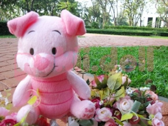 ตุ๊กตา เบบี้ หมูเล็ก (Diglet)