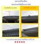 รับไล่นกด้วยระบบไฟฟ้า SHOCK-BIRD รูปแบบ IPM จากทีมวิศวกร รายแรกและรายเดียวของประเทศ