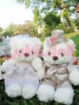 ตุ๊กตาหมีคู่แต่งงาน