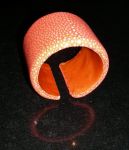 Stingray Bracelet