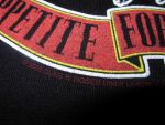 guns n roses 2005