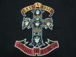guns n roses 2005