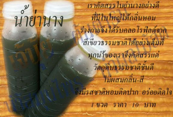 น้ำใบย่านาง