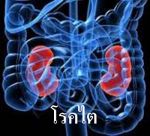 น้ำลูกหม่อนชนิดเข้มข้น แก้ปัญหาโรคไต ไตวายได้จริง