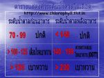 กาแฟโกลด์ คอฟฟี่ แก้ปัญหาโรคเบาหวาน