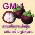 การ์ซีเนีย แคปซูลอาหารเสริมสุขภาพ Carciania Capsule GM-1