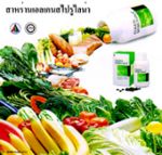สาหร่าย เอลเคนสไปรูไลน่า(Elken Spirulina)