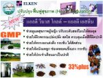 แอลดี วีนัส โกลด์(LD venas gold)