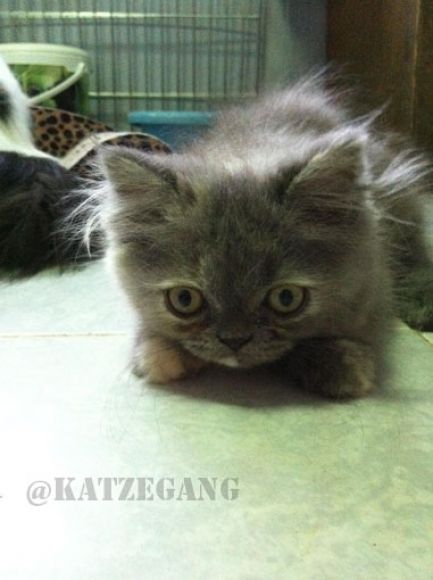 ได้บ้านแล้วคะ