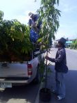 หน้าร้าน