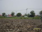 ที่ดินริมคลอง อ.ปากเกร็ด จ.นนทบุรี