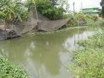 ที่ดินริมคลอง อ.ปากเกร็ด จ.นนทบุรี