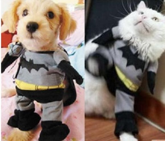 พร้อมส่ง ชุด batman (ราคาตามไซส์) พร้อมส่ง ชุด batman (ราคาตามไซส์)