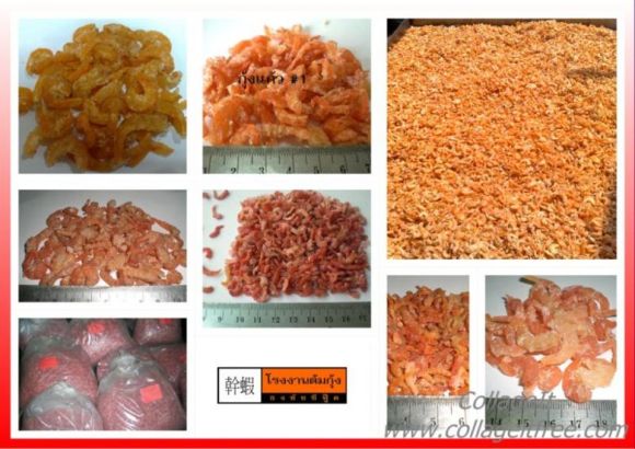ขายส่งกุ้งแห้ง มาตรฐานสินค้าเกษตรและอาหารแห่งชาติ มกอช.7012-2551 ขายส่งกุ้งแห้ง มาตรฐานสินค้าเกษตรและอาหารแห่งชาติ มกอช.7012-2551