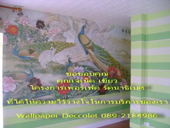 วอลเปเปอร์ติดผนัง,วอลเปเปอร์ติดผนังราคาถูก,วอลเปเปอร์ราคาถูก การันตีด้วยประสบการ วอลเปเปอร์ติดผนัง,วอลเปเปอร์ติดผนังราคาถูก,วอลเปเปอร์ราคาถูก การันตีด้วยประสบการ