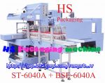 เครื่องอบฟิล์มหด ราคาถูก รุ่น BSD-350