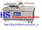 เครื่องซีลสูญญากาศแบบสายพานอัตโนมัติ รุ่น DZL-420