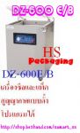 เครื่องซีลสูญญากาศแบบสายพานอัตโนมัติ รุ่น DZL-420