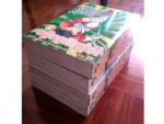 หนุ่มพลังดิบ 4 เล่มจบ