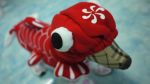 ร้าน ก้อนดิน pet shop