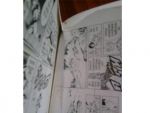 SPRIGGAN/สปลีแกนคนเหนือโลก