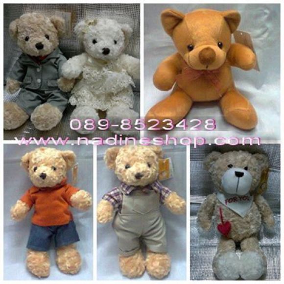 ตุ๊กตาหมี Teddy Bear และพองเพื่อน ตุ๊กตาหมี Teddy Bear และพองเพื่อน