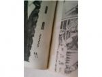X CROSS เสือซ่อนลาย 7 เล่มจบ/////ขายแล้วค่ะ