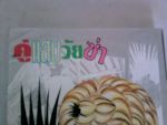 คู่แสบวัยซ่าส์4