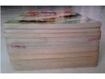 อิโต้เจ้าหนูสิงห์สนาม2เล่ม1-9