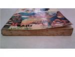 STREET FIGHTER 2/หมึกจีน/////ขายแล้วค่ะ