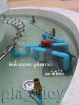 น้ำพุฮวงจุ้ย ในโครงการสวนศรี