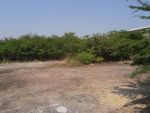 ที่ดินเหมาะลงทุน 2ไร่ ซ.มหาชัย บางนา-ตราด กม.10