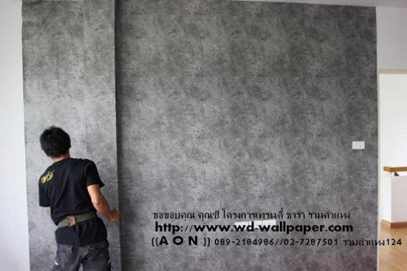 AON 089-2184986 วอลเปเปอร์ติดผนัง,วอลเปเปอร์ติดผนังราคาถูก,ลายวอลเปเปอร์ติดผนังส