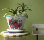 กระถางเพ้นท์ vintage style