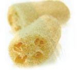 ใยบวบ (Natural Smooth Loofah) เพื่อการผลัดผิวอย่างสมบูรณ์แบบ