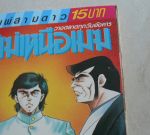 พยัคฆ์เหนือเมฆ 10 เล่มจบ/สำนักพิมพ์สามดาว/////ขายแล้วค่ะ