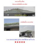 ไล่นกด้วยระบบ SHOCK-BIRD ได้ผล 100% ด้วยระบบ IPM. ที่การันตีที่ผลงานที่มากกว่า
