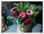 หลากหลายของตกแต่งและของขวัญ ของใช้วันคริสมาสต์