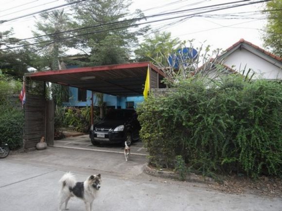 บ้านเดี่ยว สไตล์บาหลี ซ.แบริ่ง 19 มีบ่อเลี้ยงปลาและสวนต้นไม้ บ้านเดี่ยว สไตล์บาหลี ซ.แบริ่ง 19 มีบ่อเลี้ยงปลาและสวนต้นไม้