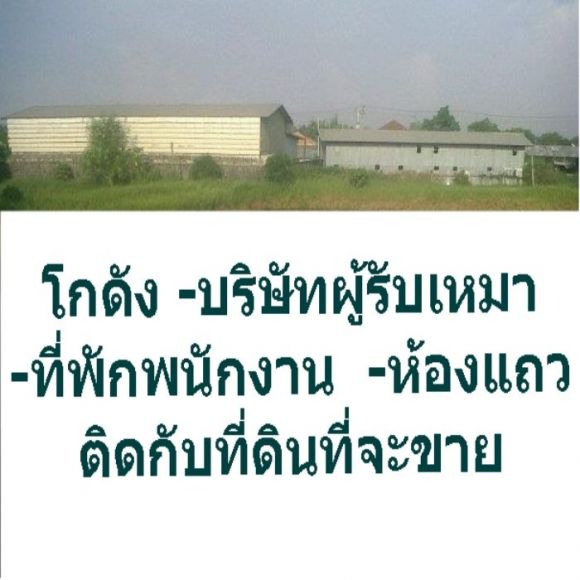 ขายที่ดินใกล้อมตะนคร อมตะโครงการ 2 กำลังขยายตัว ขายที่ดินใกล้อมตะนคร อมตะโครงการ 2 กำลังขยายตัว