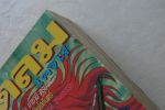 ภูตลมโคจิโร่เล่ม1/หมึกจีน