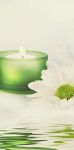 รูปเเต่งร้านspa
