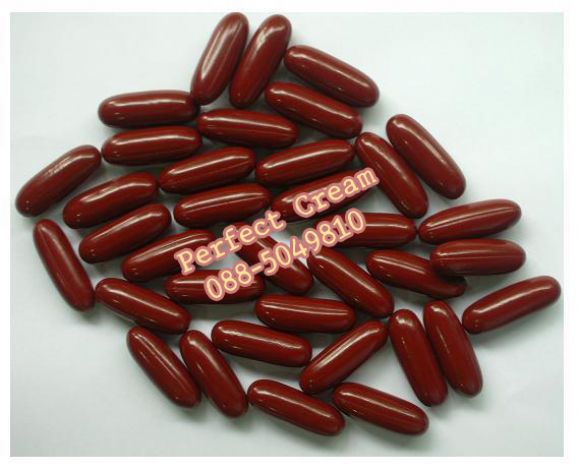คาปูชิโนไวท์เทอร์สปีด 10000 MG คาปูชิโนไวท์เทอร์สปีด 10000 MG