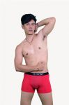กางเกงชั้นในชาย VK-Tligony  เวอร์ชั่นใหม่ล่าสุด เพิ่มประสิทธิภาพแผ่นแม่เหล็กในตัวกางเกง ถึง18 จุด