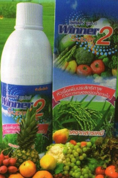 เมื่อใช้วินเนอร์ซุปเปอร์ 2พืชสามารถผสมเกสรได้ดี ไม่หลุดร่วง ติดออกออกผล ทนทานต่อโรคและแมลงได้ดี พืชจ เมื่อใช้วินเนอร์ซุปเปอร์ 2พืชสามารถผสมเกสรได้ดี ไม่หลุดร่วง ติดออกออกผล ทนทานต่อโรคและแมลงได้ดี พืชจ