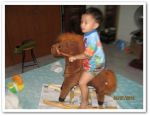 ของเล่น ของใช้(รอขาย)